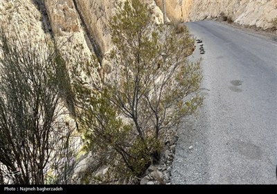 مسير،مرگبار،جاده،خودرو،تسنيم،گاردريل،نيوجرسي،تصادفات،مسافران ...