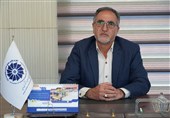 ثبت جهانی گردوی تویسرکان؛ گامی تاریخی برای معرفی این محصول به جهان
