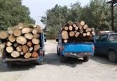 کشف 60 اصله چوب‌آلات جنگلی در اردبیل