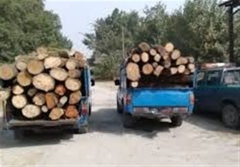 کشف 60 اصله چوب‌آلات جنگلی در اردبیل