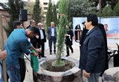 سروقامتان