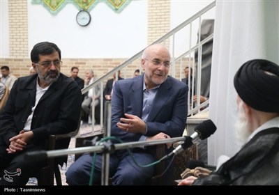 دیدار رئیس مجلس با آیت‌الله شبیری زنجانی