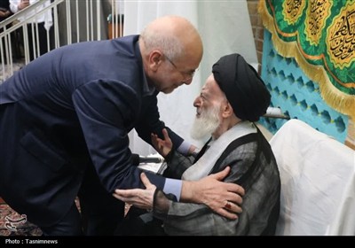 دیدار رئیس مجلس با آیت‌الله شبیری زنجانی