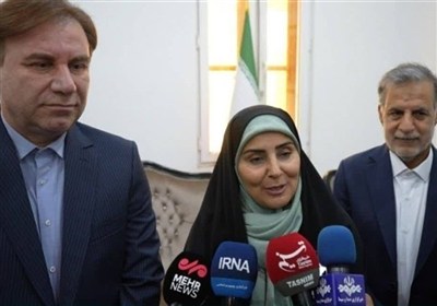 استان،بوشهر،شهرسازي،حضور،بازديدها،اقتصاد،وزير،توسعه،قرار