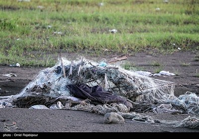 سواحل گیلان به رنگ زباله