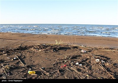 سواحل گیلان به رنگ زباله