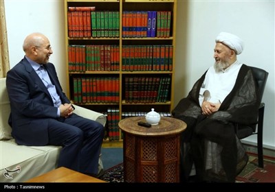 مجلس،تقليد،اسلامي،رئيس،قاليباف،مراجع،سيد