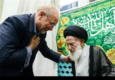 دیدار رئیس مجلس با آیت‌الله شبیری زنجانی