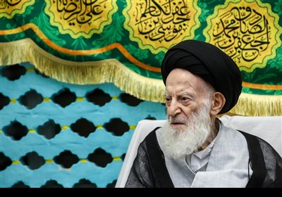 دیدار رئیس مجلس با آیت‌الله شبیری زنجانی