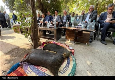 چشمه،بازديد،گردشگري،بلقيس،دستي،طبيعي،صنايع،وزير