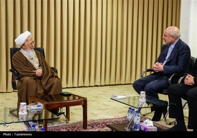 مجلس،اقتصادي،دولت،حوزه،برنامه،قاليباف،نحوي،كالاهاي،اصلاحات،ع ...