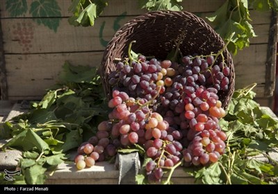 جشن مهر گان در کرمانشاه