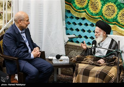 دیدار محمدباقر قالیباف رئیس مجلس شورای اسلامی و آیت‌الله شبیری زنجانی از مراجع عظام تقلید