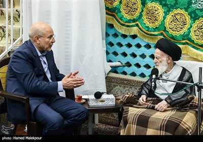 دیدار محمدباقر قالیباف رئیس مجلس شورای اسلامی و آیت‌الله شبیری زنجانی از مراجع عظام تقلید