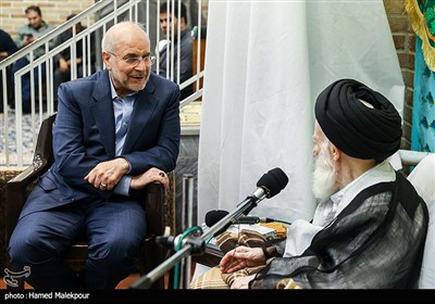 دیدار محمدباقر قالیباف رئیس مجلس شورای اسلامی و آیت‌الله شبیری زنجانی از مراجع عظام تقلید