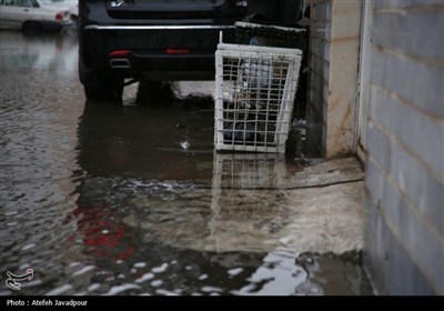 آب‌گرفتگی در بندر انزلی؛ 100 واحد مسکونی درگیر شدند