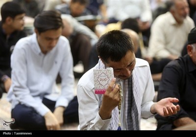 دعای ندبه در سالروز رحلت حضرت معصومه (س)