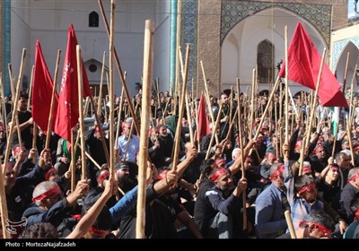 كاشان،امام،باقر،امامزاده،كشور
