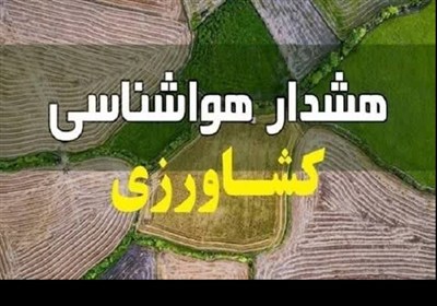 محصولات،محافظت،سلامت،توجه،تسنيم