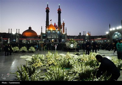 تعویض گلهای ضریح مطهر حضرت معصومه(س)