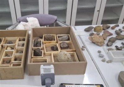 بيرجند،طبيعي،مجموعه،علمي،موزه،حيات،ميراث،علم،اقدام