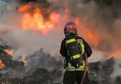 آتش‌سوزی گسترده نخلستان‌های فین مهار شد/ سوختن حدود 800 اصله نخل