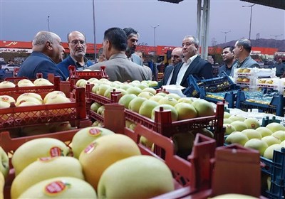 بازار،تنظيم،خراسان،ستاد،جنوبي،استاندار،ميوه،استان،قيمت،بيرجن ...