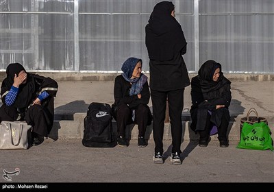 بزرگترین گلخانه توت فرنگی کشور
