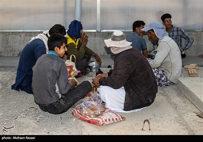 بزرگترین گلخانه توت فرنگی کشور