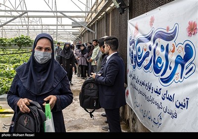 بزرگترین گلخانه توت فرنگی کشور