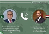 رایزنی دیپلماتیک اسلامآباد و قاهره درباره تحولات فلسطین