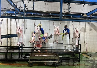 مجتمع،اردبيل،صنعتي،كشتارگاه،دام،گوشت،كشتار