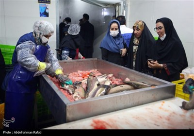 بازدید خبرنگاران از صنایع پرورش و قطعه بندی آبزیان شهرستان ن ...