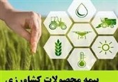 پیشنهاد ایجاد صندوق مالی مشترک دولت و بخش خصوصی برای کشاورزی