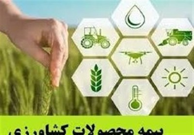 پوشش،محصولات،بيمه،زراعي،اردبيل،كشاورزي،استان،افزايش