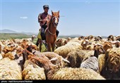 Iran Marks National Day of Village, Nomads