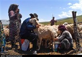 Iran Marks National Day of Village, Nomads