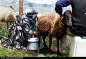 Iran Marks National Day of Village, Nomads