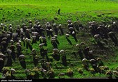 Iran Marks National Day of Village, Nomads