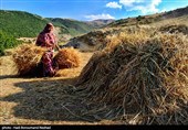 Iran Marks National Day of Village, Nomads