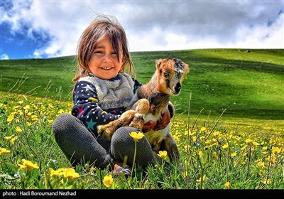 Iran Marks National Day of Village, Nomads