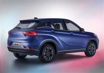 فلو،محصول،فروش،مشتريان،عرضه،دنبال،كشور