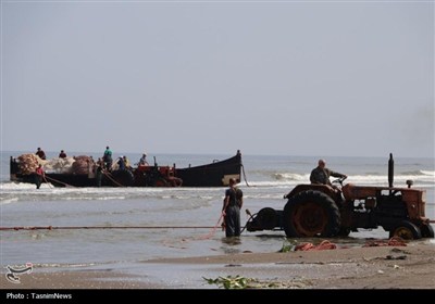 ماهیگیری صیادان از دریای خزر- عکس صفحه استان تسنیم