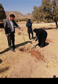 برگزاری پویش درختکاری روستا و عشایر در لرستان