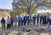 برگزاری پویش درختکاری روستا و عشایر در لرستان