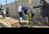 برگزاری پویش درختکاری روستا و عشایر در لرستان
