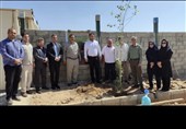 برگزاری پویش درختکاری روستا و عشایر در لرستان
