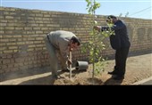 برگزاری پویش درختکاری روستا و عشایر در لرستان