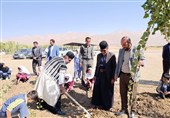 برگزاری پویش درختکاری روستا و عشایر در لرستان