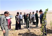 برگزاری پویش درختکاری روستا و عشایر در لرستان